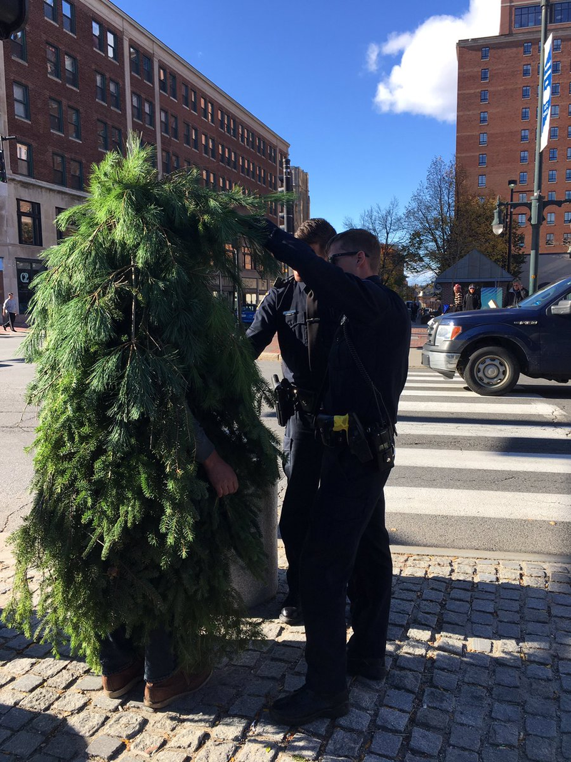 Illustration for article titled If you consider dressing as a tree today...